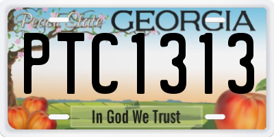 GA license plate PTC1313