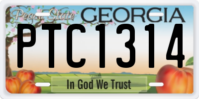 GA license plate PTC1314