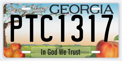 GA license plate PTC1317