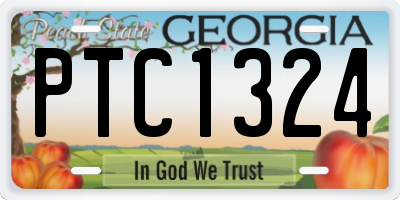 GA license plate PTC1324