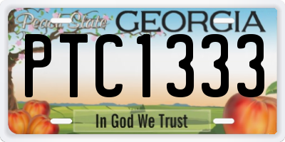 GA license plate PTC1333