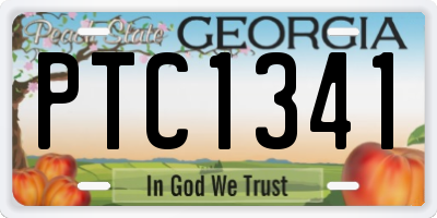 GA license plate PTC1341