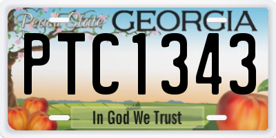 GA license plate PTC1343