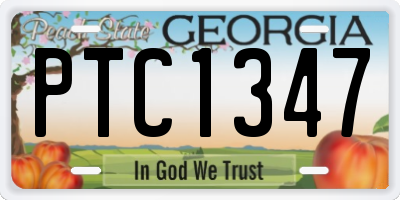 GA license plate PTC1347