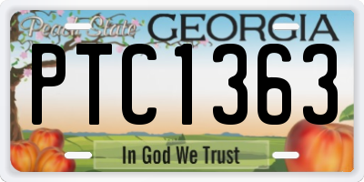 GA license plate PTC1363