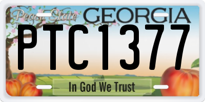 GA license plate PTC1377