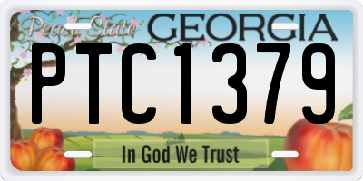 GA license plate PTC1379