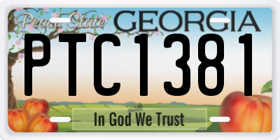 GA license plate PTC1381