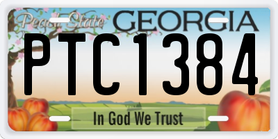 GA license plate PTC1384