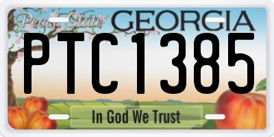 GA license plate PTC1385