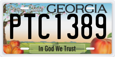 GA license plate PTC1389