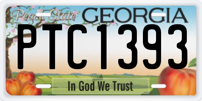 GA license plate PTC1393