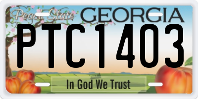 GA license plate PTC1403