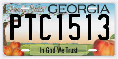 GA license plate PTC1513
