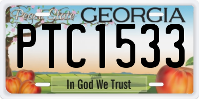 GA license plate PTC1533