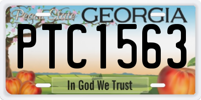 GA license plate PTC1563