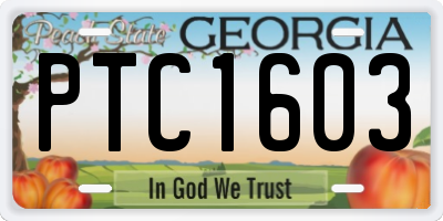GA license plate PTC1603
