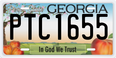 GA license plate PTC1655