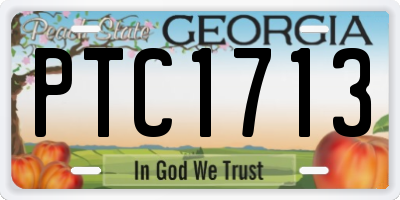 GA license plate PTC1713