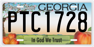 GA license plate PTC1728