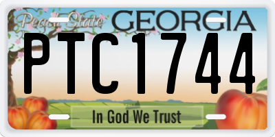 GA license plate PTC1744