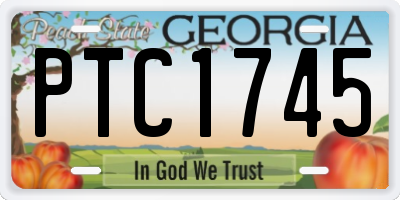 GA license plate PTC1745