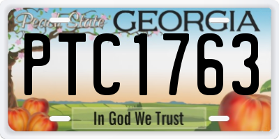 GA license plate PTC1763