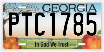 GA license plate PTC1785