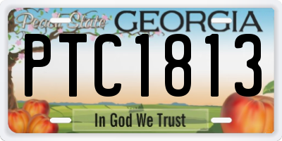 GA license plate PTC1813