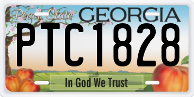 GA license plate PTC1828
