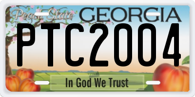 GA license plate PTC2004