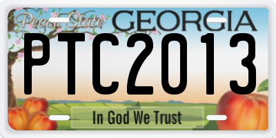 GA license plate PTC2013