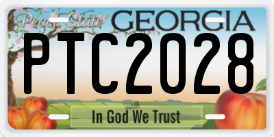 GA license plate PTC2028