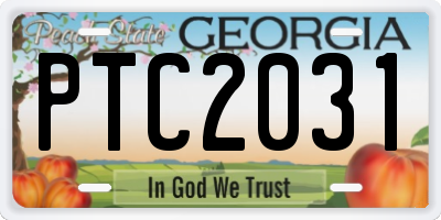 GA license plate PTC2031