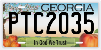 GA license plate PTC2035