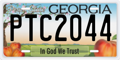 GA license plate PTC2044