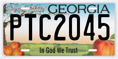 GA license plate PTC2045