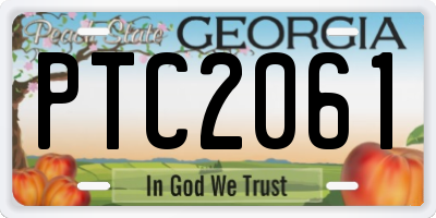 GA license plate PTC2061