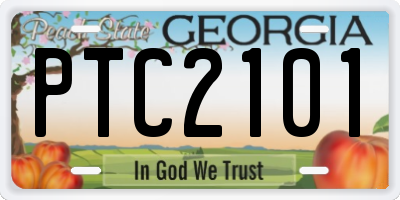 GA license plate PTC2101