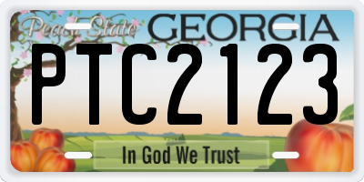 GA license plate PTC2123