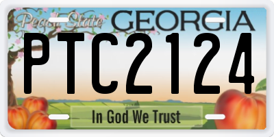GA license plate PTC2124
