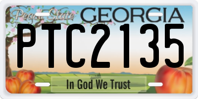GA license plate PTC2135