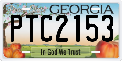 GA license plate PTC2153