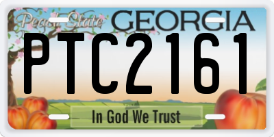 GA license plate PTC2161