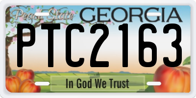 GA license plate PTC2163