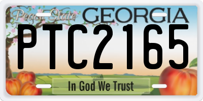 GA license plate PTC2165