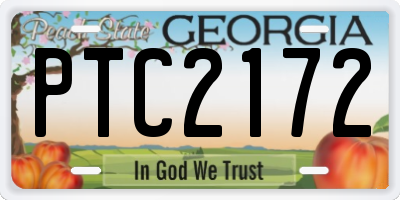 GA license plate PTC2172