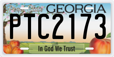 GA license plate PTC2173