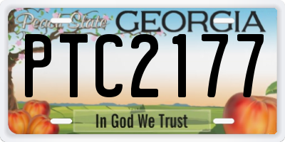GA license plate PTC2177