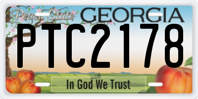 GA license plate PTC2178